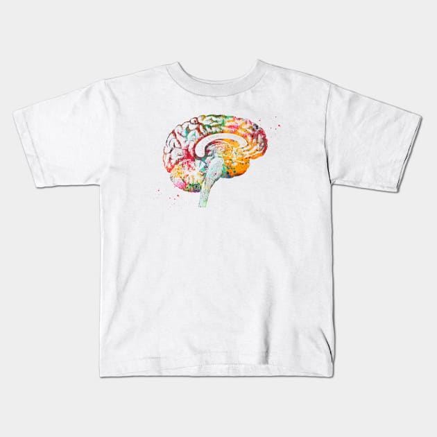 Brain anatomy Kids T-Shirt by erzebeth